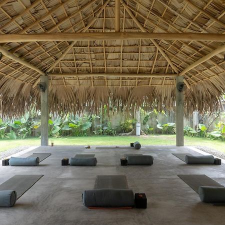 Apartament Lotus Surf And Wellness Ahangama Zewnętrze zdjęcie